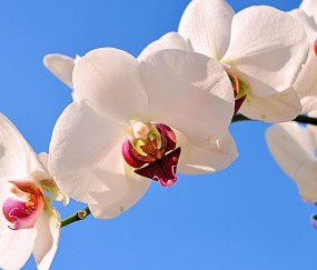 张掖正规助孕捐卵机构，附正规捐卵机构报名表！